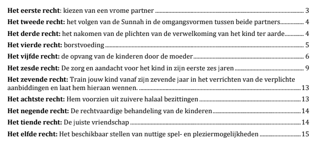 Preview image of De rechten van het kind